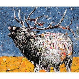 Elk with Blue Sky, Print on aluminum, gloss varnish and black floater frame